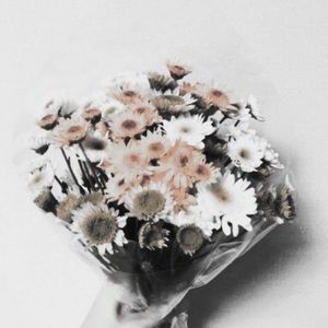 Meet your Posher, Yadira